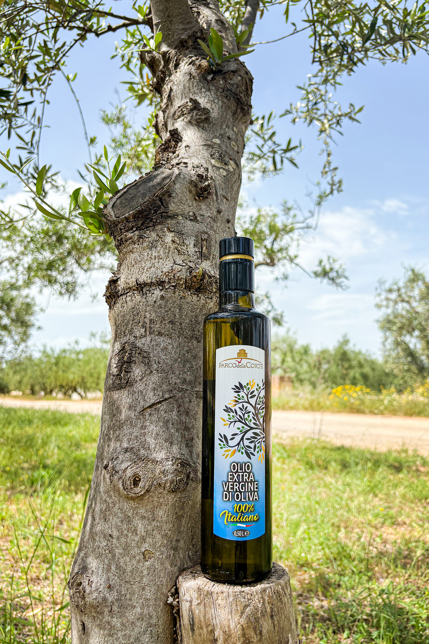 Olio EVO 100% Italiano – Box 12 Bottiglie da 0,5 L (6 litri) - immagine 2