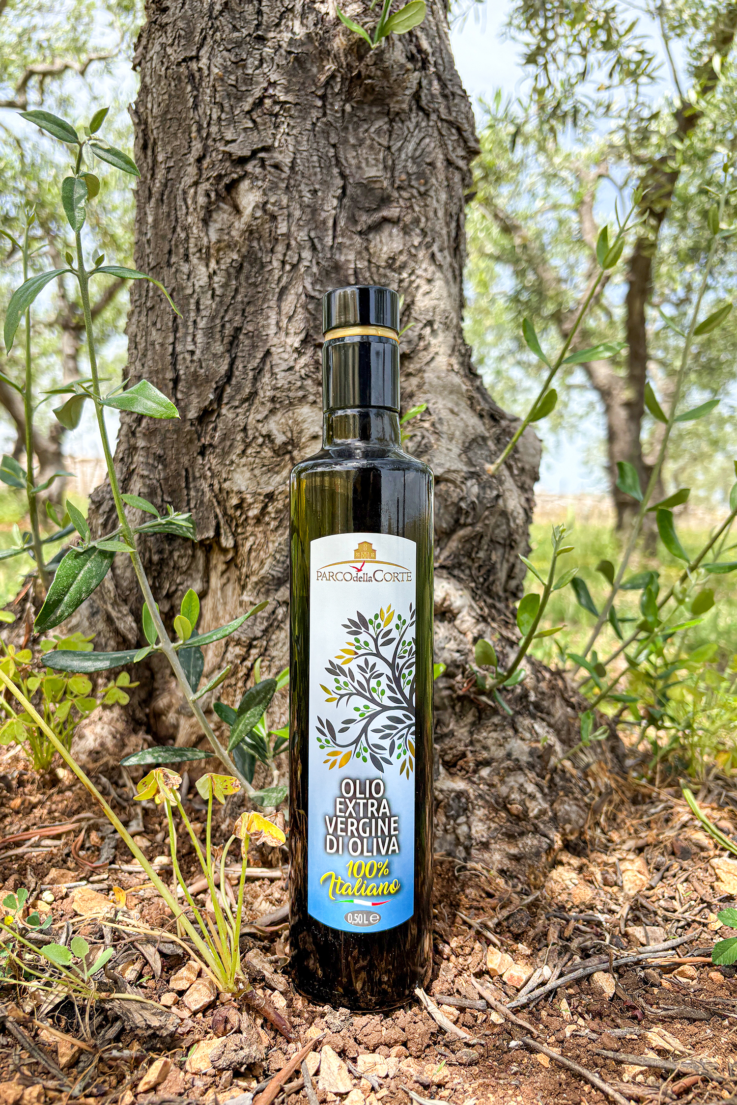 Olio EVO 100% Italiano – Box 12 Bottiglie da 0,5 L (6 litri) - immagine 3
