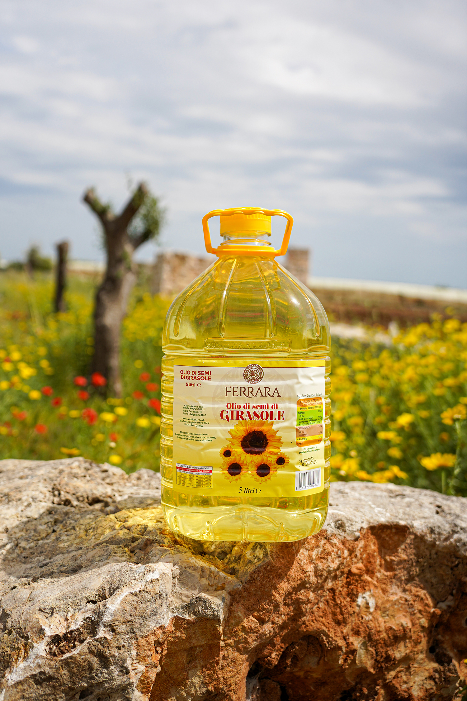 OLIO DI SEMI DI GIRASOLE - Lt 5 - immagine 2