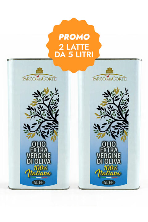 OLIO EXTRAVERGINE DI OLIVA 100% ITALIANO - Lt 5